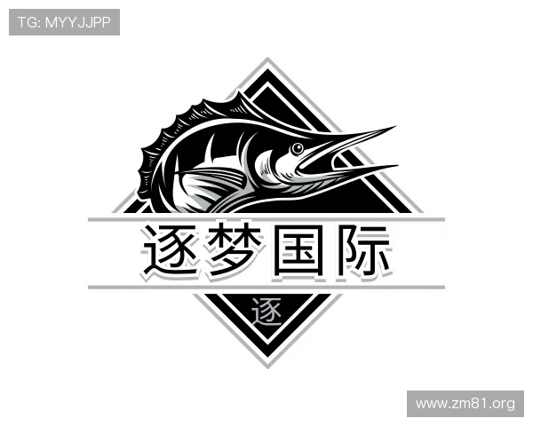 纵览逐梦国际